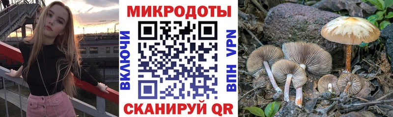 Галлюциногенные грибы Magic Shrooms  купить  сайты  Новокузнецк 