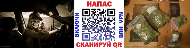Конопля план  МЕГА tor  Новокузнецк 